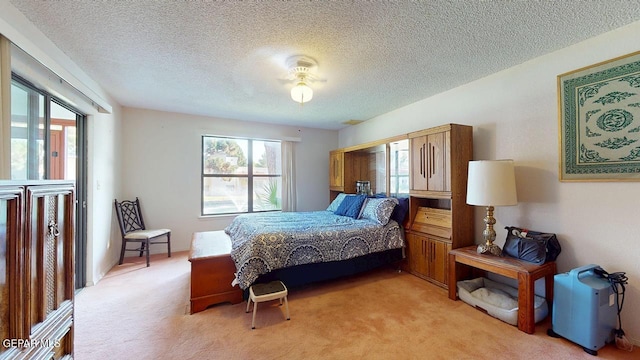 108 Casas Bellas, Santa Teresa, NM 88008 - photo 36