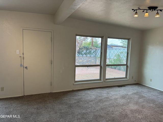 5233 Chateau Ave, El Paso, TX 79924 - photo 37