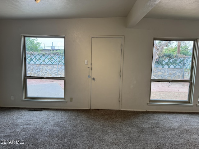 5233 Chateau Ave, El Paso, TX 79924 - photo 38