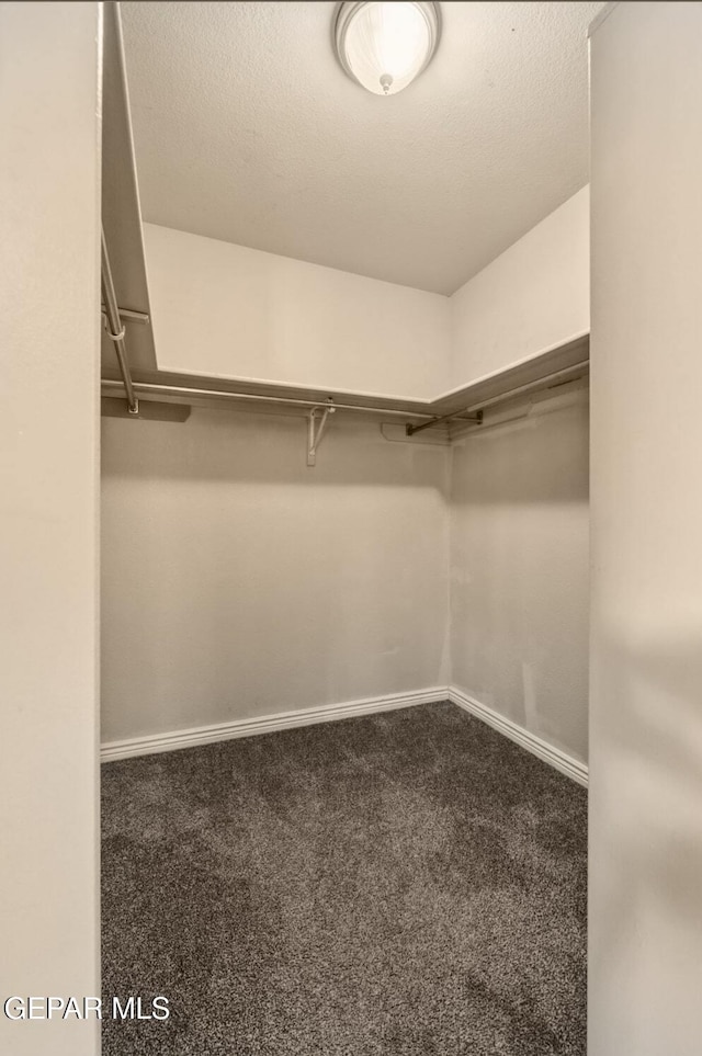 14252 Desert Sage Dr, Horizon City, TX 79928 - photo 24