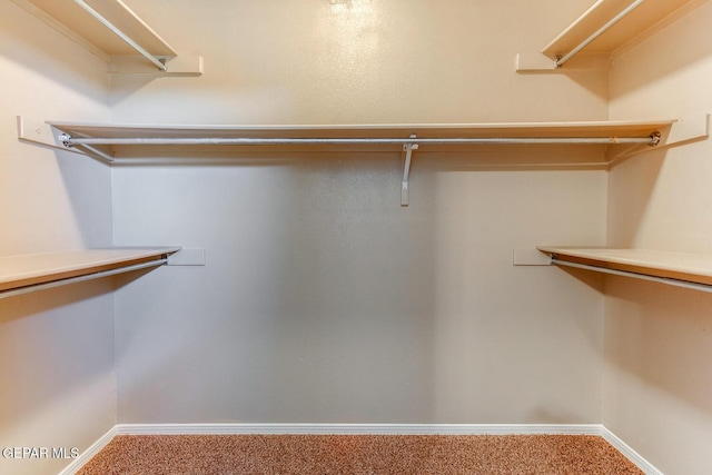 5954 Katelyn Gray Cir, El Paso, TX 79924 - photo 24