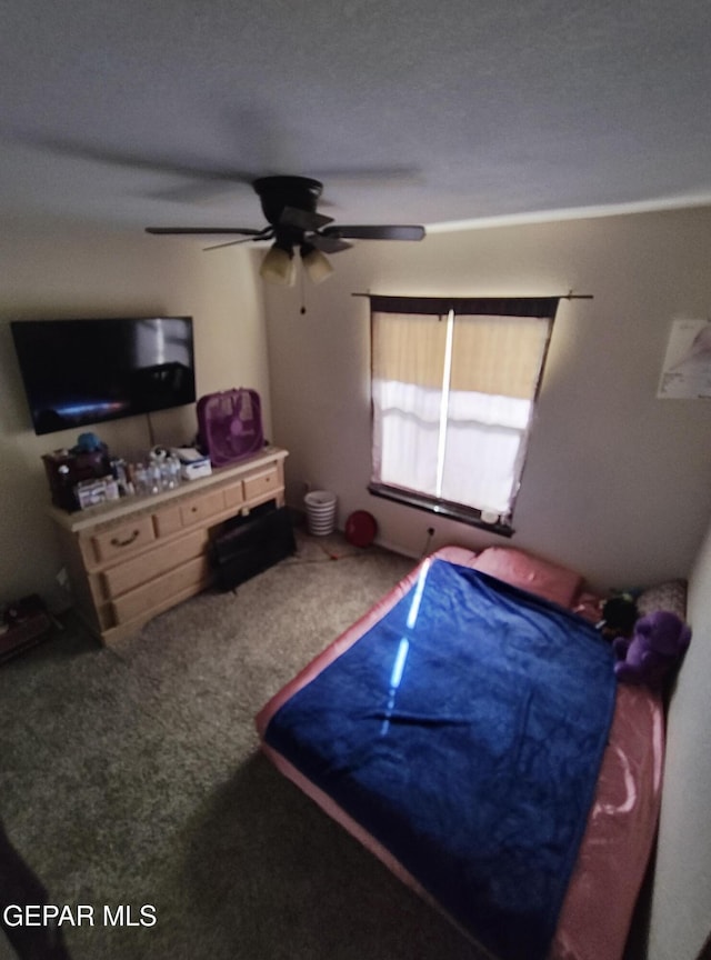 902 Destello Rd, El Paso, TX 79907 - photo 14