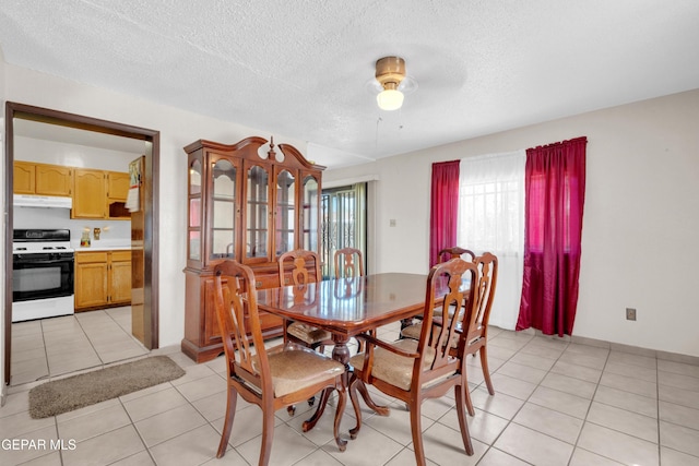 460 Chesak Cir, El Paso, TX 79905 - photo 10
