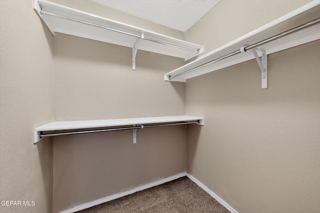 13974 Vaquero Rock Dr, El Paso, TX 79938 - photo 28