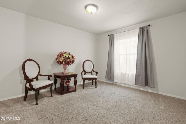 12609 Greg Martinez, El Paso, TX 79928 - photo 16