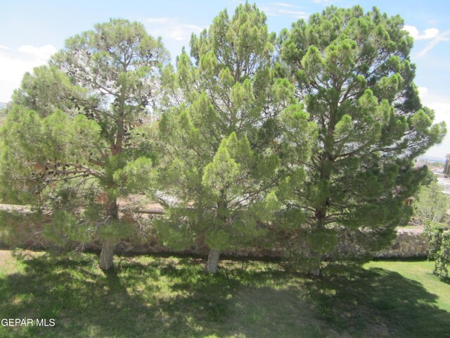 1229 Diamond Cove Pl, El Paso, TX 79912 - photo 72