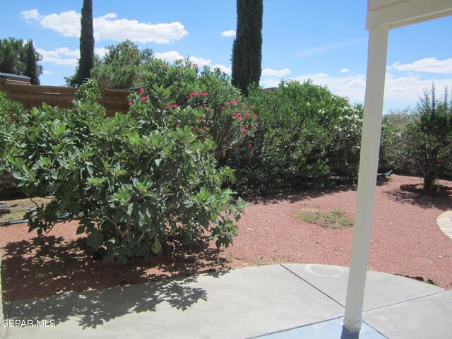 1229 Diamond Cove Pl, El Paso, TX 79912 - photo 97