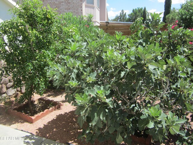 1229 Diamond Cove Pl, El Paso, TX 79912 - photo 100