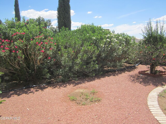 1229 Diamond Cove Pl, El Paso, TX 79912 - photo 102