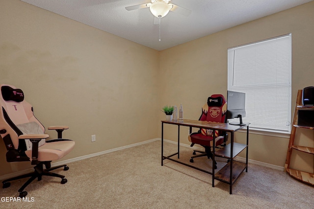 12013 Copper Head Ln, El Paso, TX 79934 - photo 34