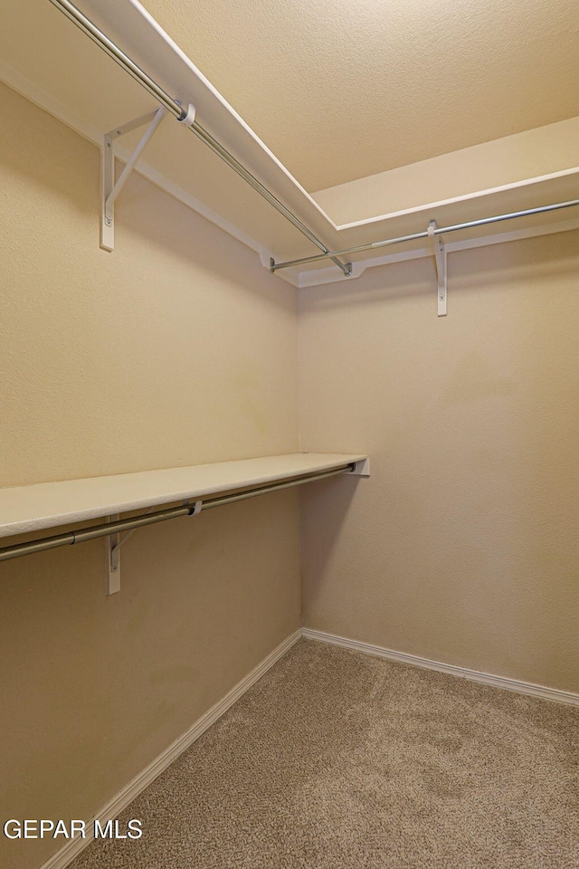 12013 Copper Head Ln, El Paso, TX 79934 - photo 38