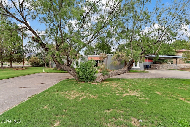 5184 Memory Dr, El Paso, TX 79932 - photo 3