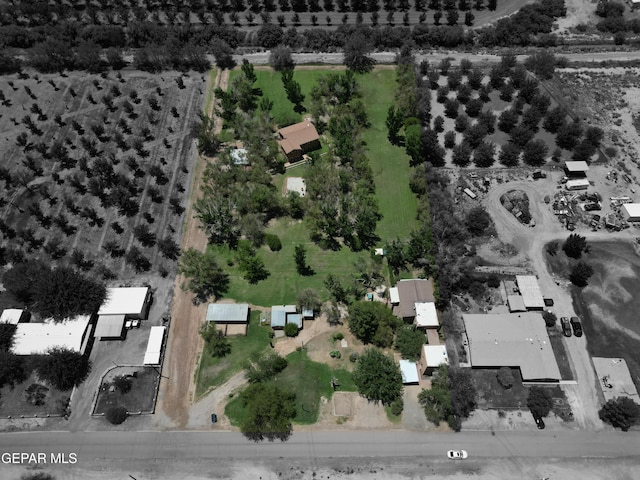 12212 Sugden Rd, Clint, TX 79836 - photo 2