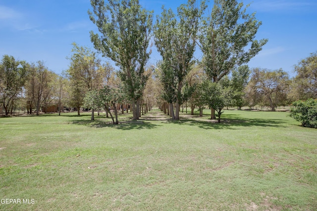 12212 Sugden Rd, Clint, TX 79836 - photo 20