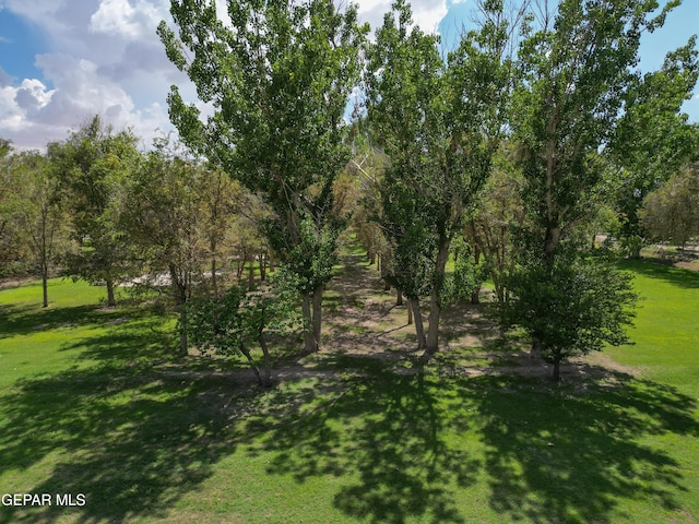 12212 Sugden Rd, Clint, TX 79836 - photo 19