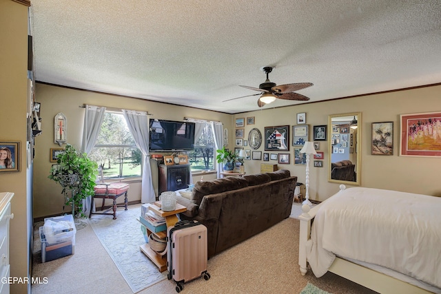 12212 Sugden Rd, Clint, TX 79836 - photo 40