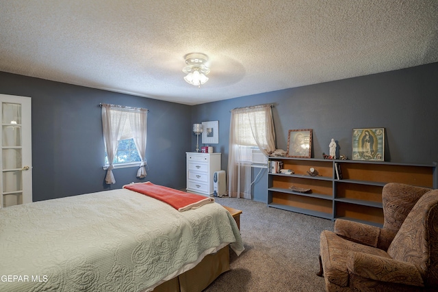 12212 Sugden Rd, Clint, TX 79836 - photo 69