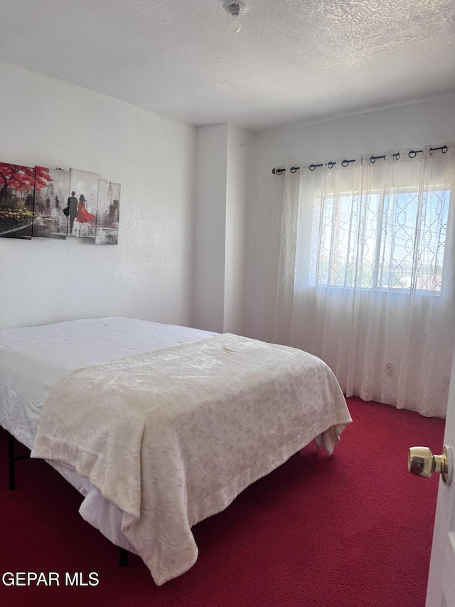 1206 Westway Blvd, Canutillo, TX 79835 - photo 19