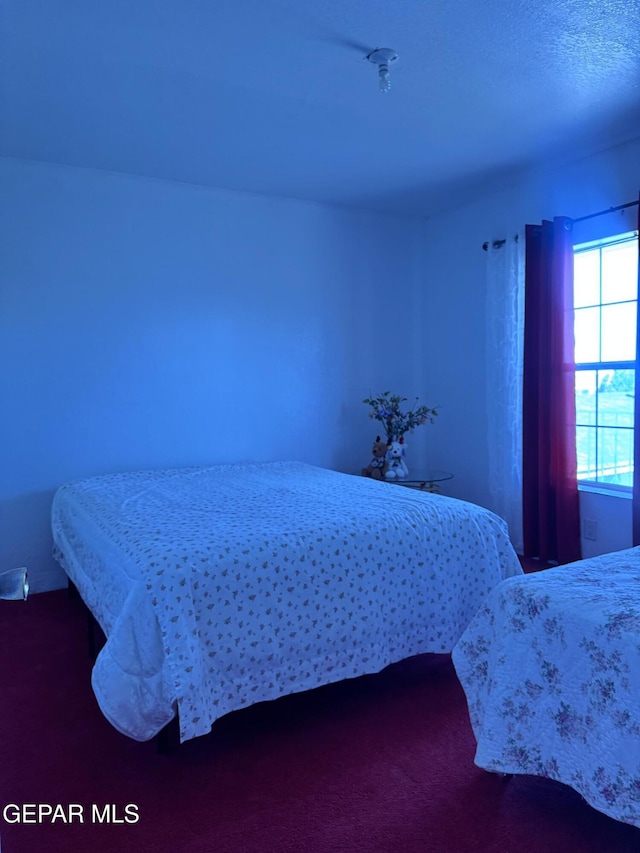 1206 Westway Blvd, Canutillo, TX 79835 - photo 24