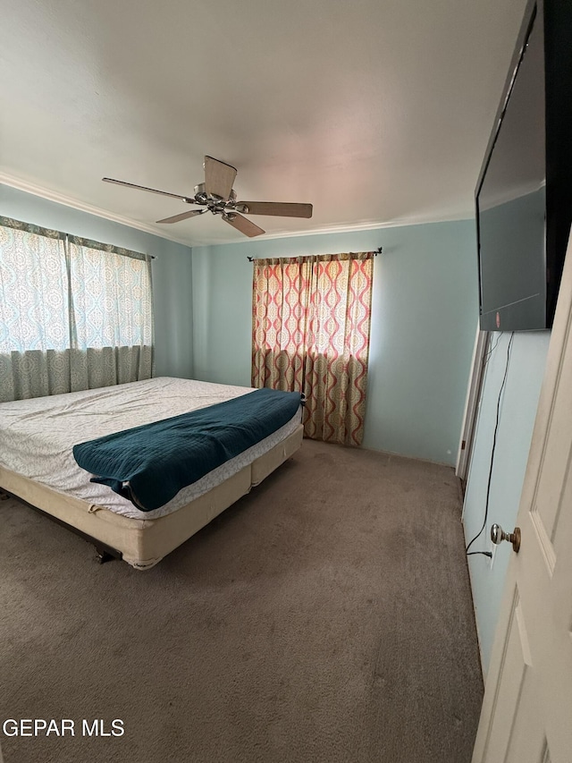 7223 Wilcox Dr, El Paso, TX 79915 - photo 7