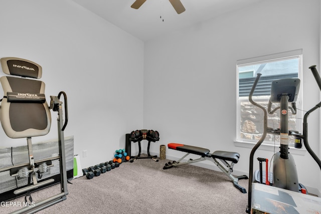 232 Staffs Way, El Paso, TX 79928 - photo 27