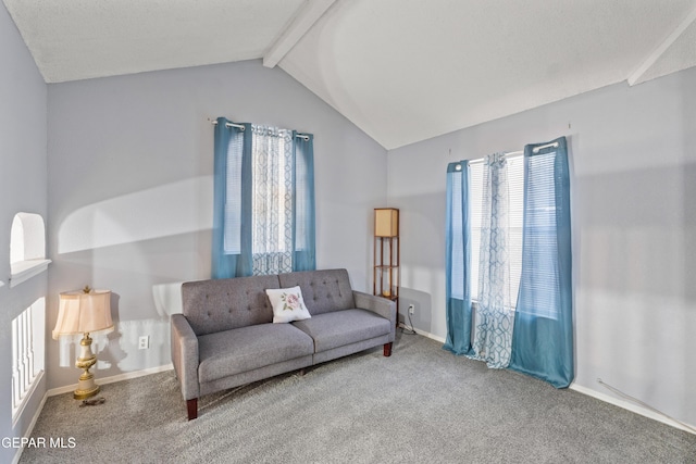 7753 Luz De Camino Way, El Paso, TX 79912 - photo 23