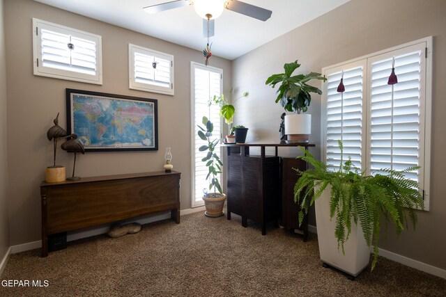 14817 Harry Flournoy Ave, El Paso, TX 79938 - photo 10