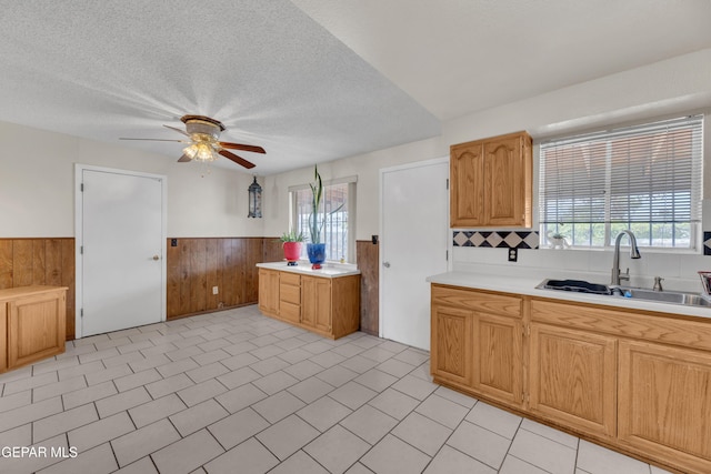 8188 Staghorn Dr, El Paso, TX 79907 - photo 9