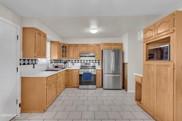 8188 Staghorn Dr, El Paso, TX 79907 - photo 12