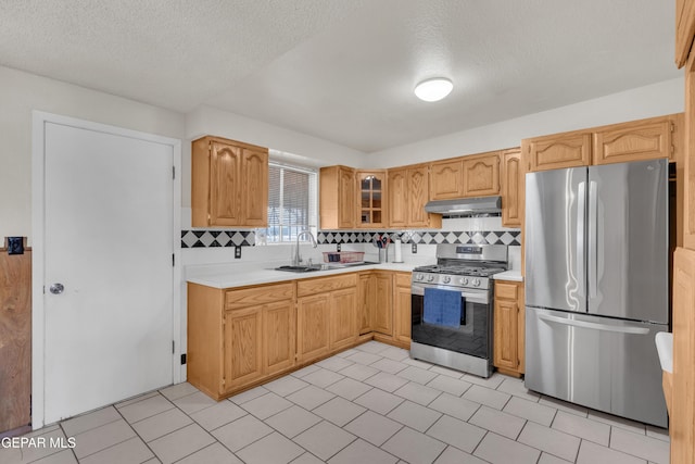 8188 Staghorn Dr, El Paso, TX 79907 - photo 13