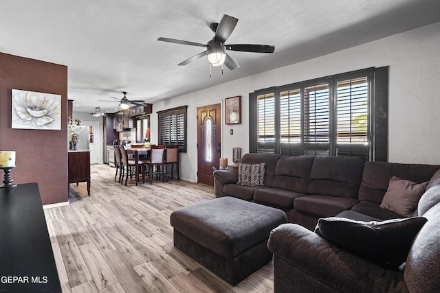 4812 Chisos Ln, El Paso, TX 79904 - photo 8