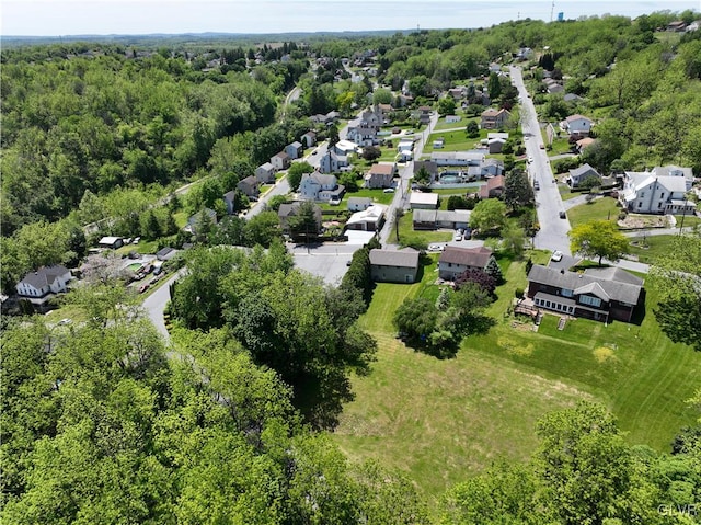 drone / aerial view