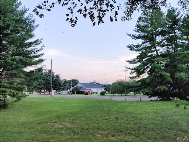 view of yard at dusk