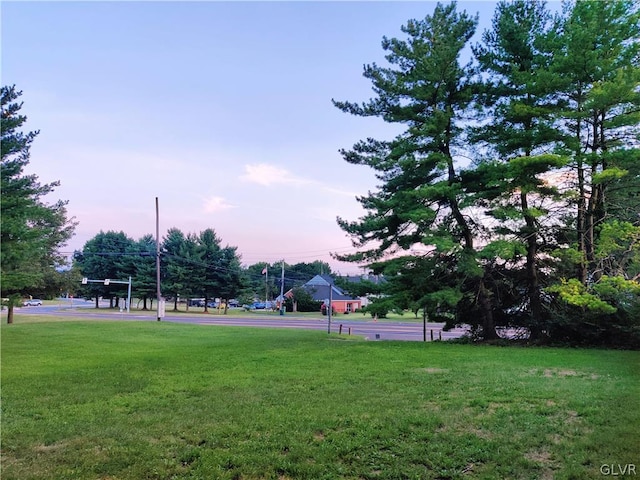 view of property's community featuring a yard