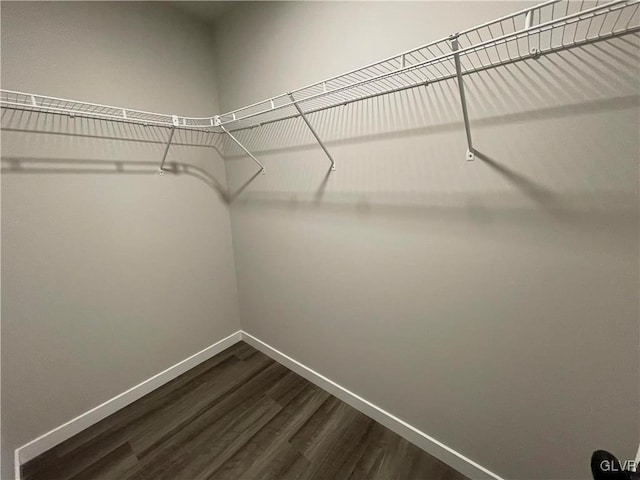 walk in closet with hardwood / wood-style floors