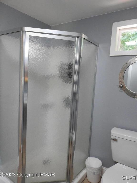 bathroom featuring lofted ceiling, an enclosed shower, and toilet