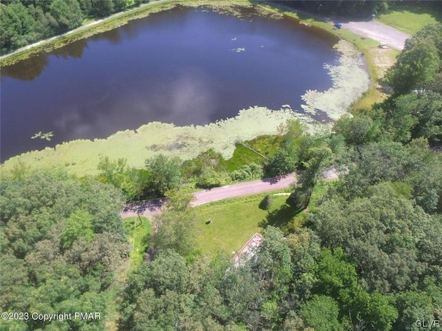 bird's eye view with a water view