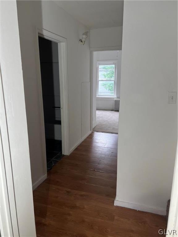 hall featuring radiator and wood-type flooring