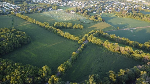 drone / aerial view with a water view and a rural view