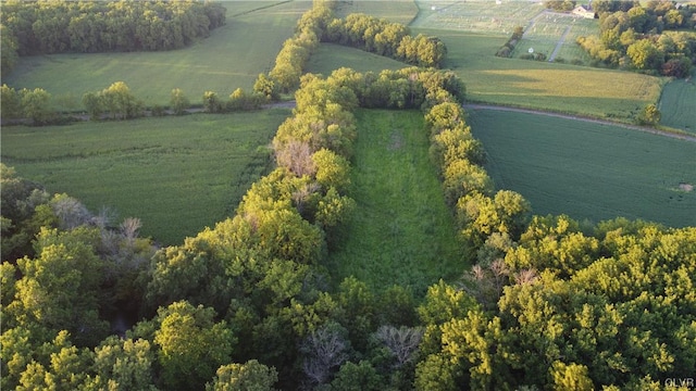 birds eye view of property with a water view and a rural view