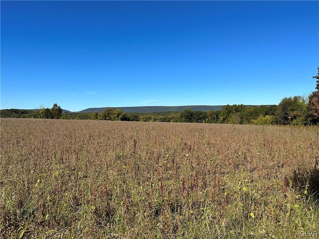 view of local wilderness with a rural view