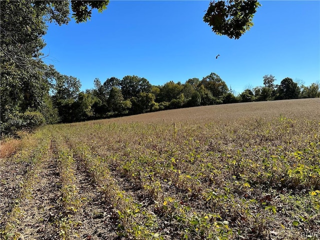 view of yard featuring a rural view