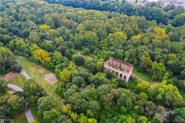 drone / aerial view of a forest