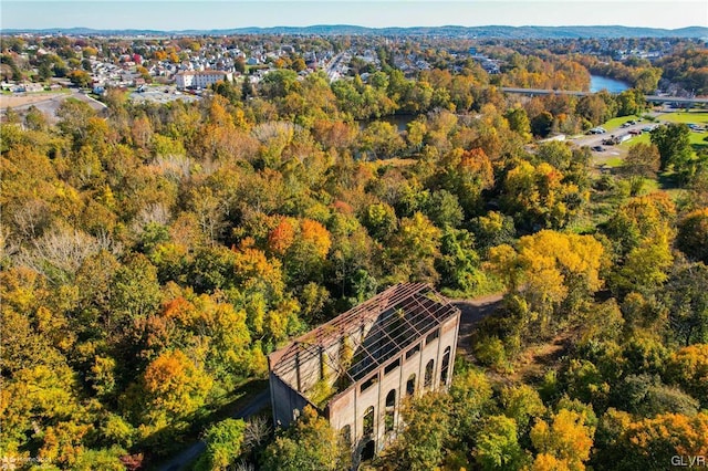 bird's eye view of a forest