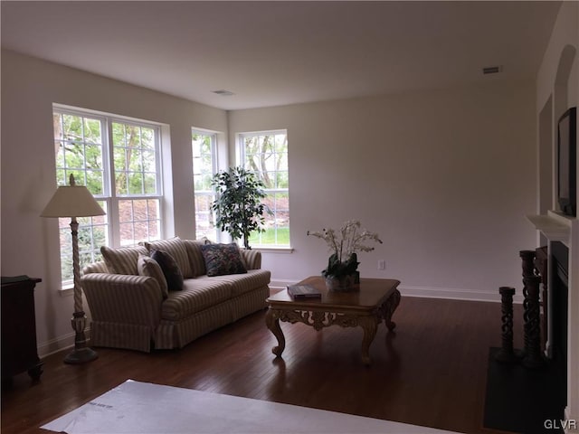 living room with dark hardwood / wood-style flooring