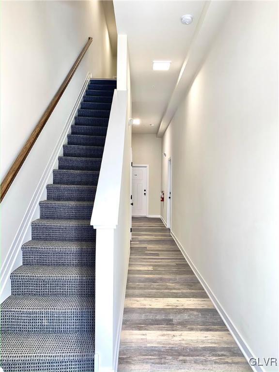 staircase with wood-type flooring