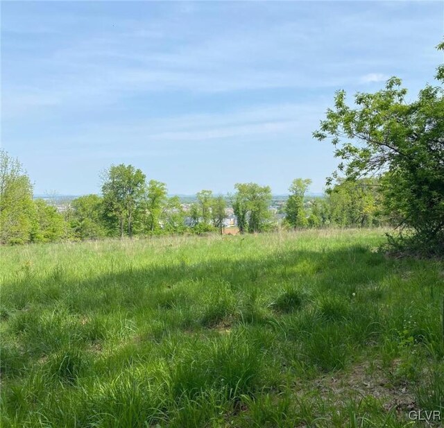 view of local wilderness featuring a rural view