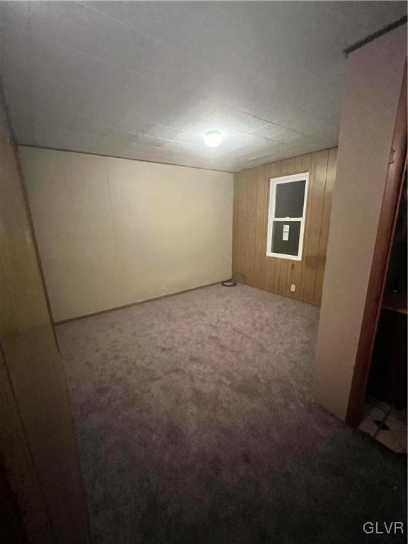 unfurnished room featuring wood walls and carpet flooring