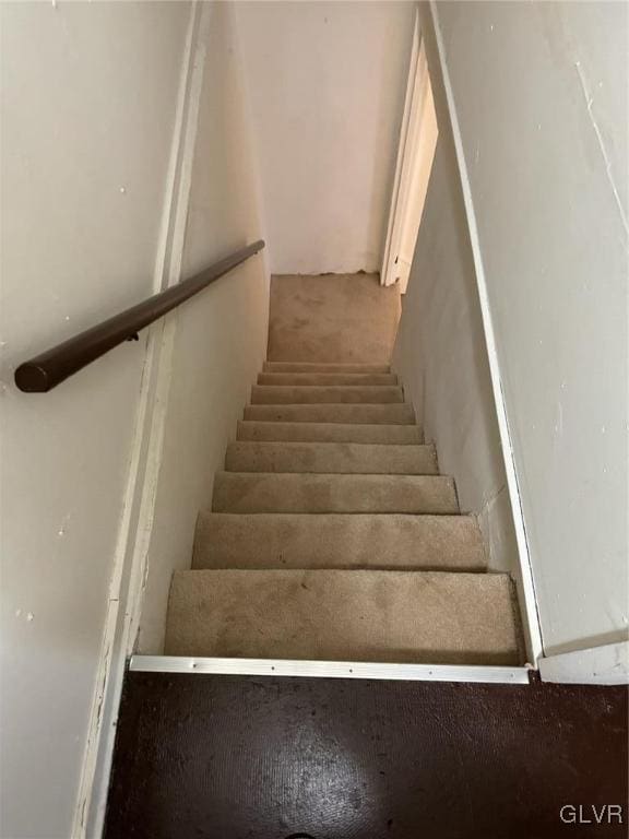 staircase with carpet floors