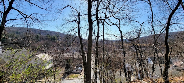 property view of mountains